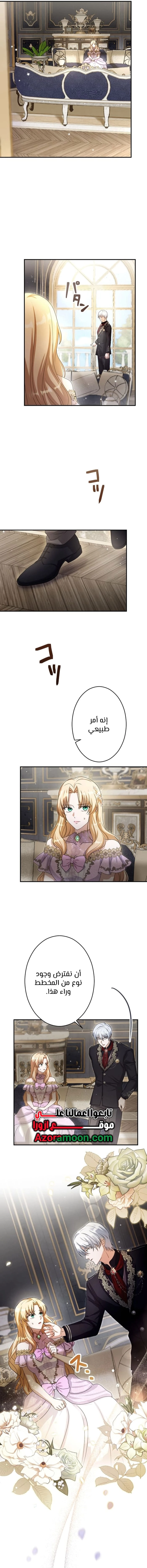 صفحة 13
