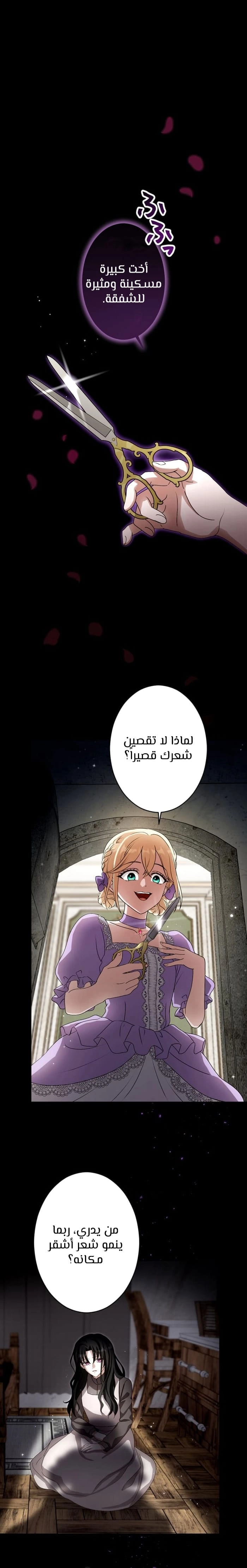 صفحة 5