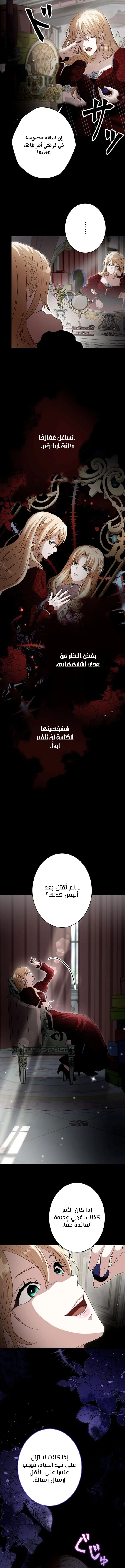 صفحة 14