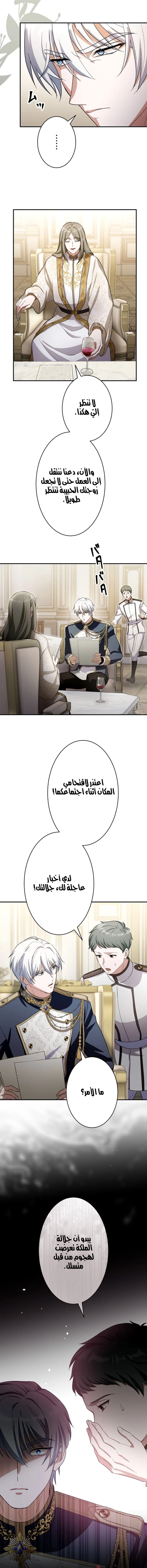 صفحة 14