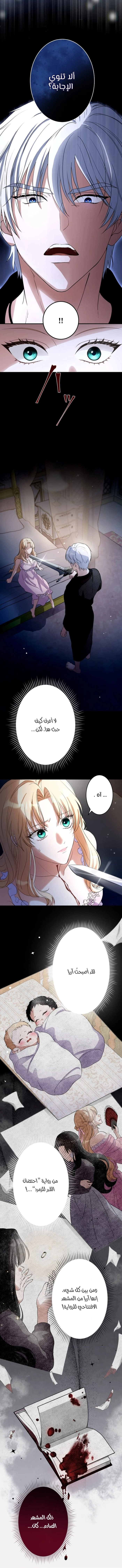 صفحة 14