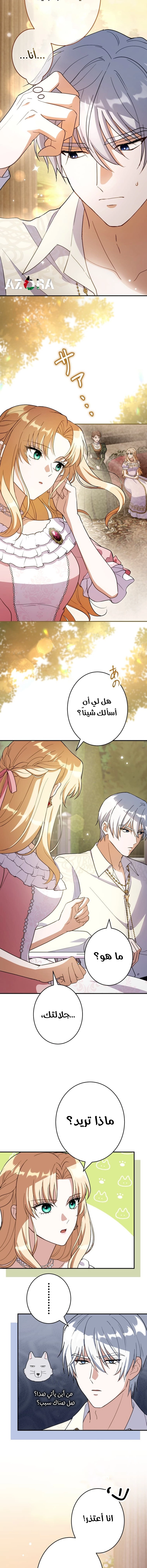 صفحة 11