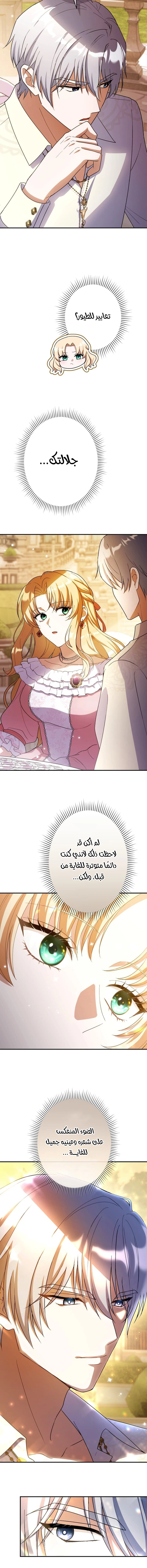 صفحة 14