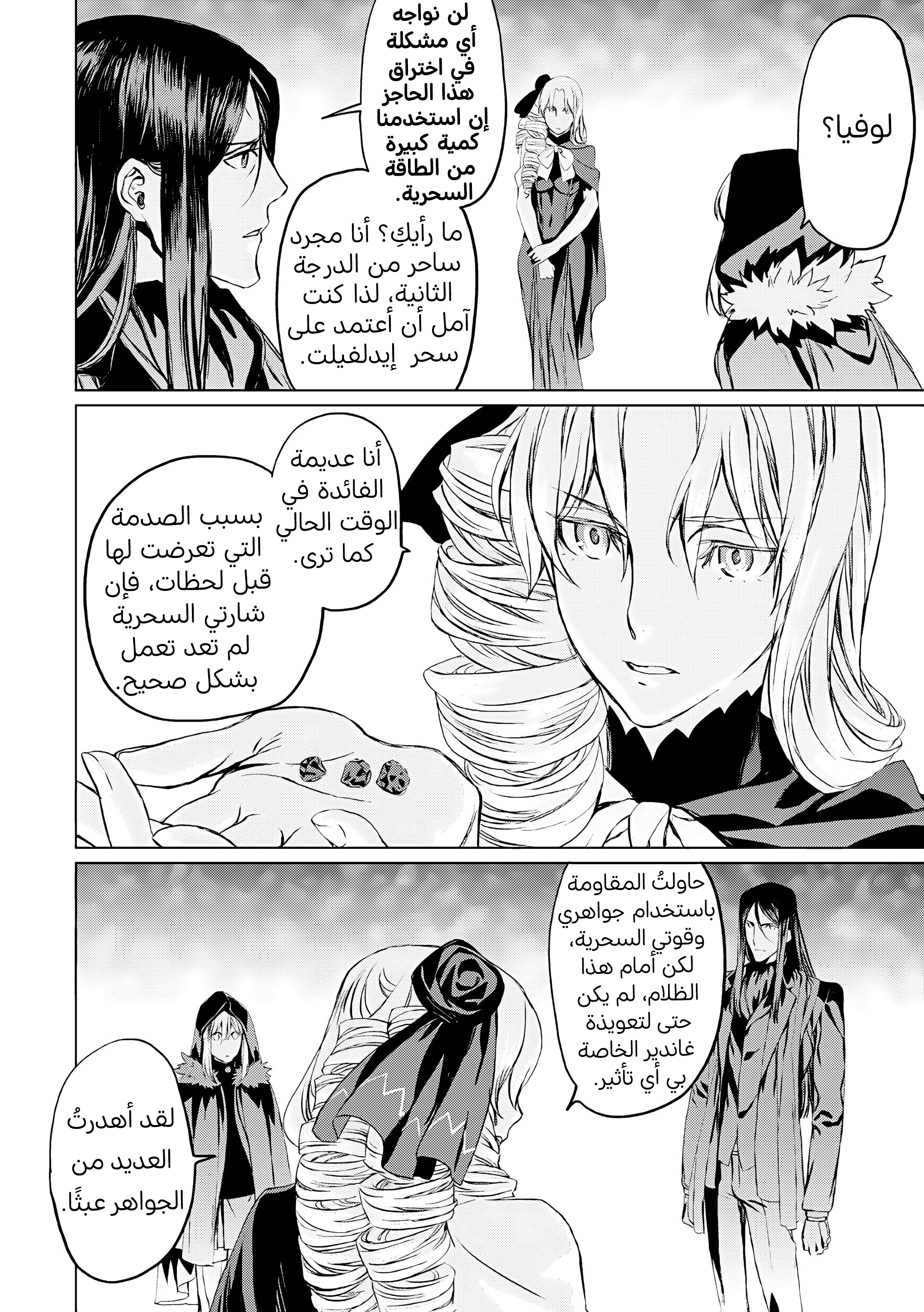 صفحة 13