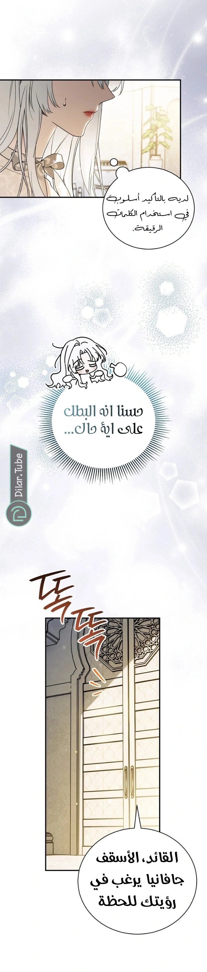 صفحة 17