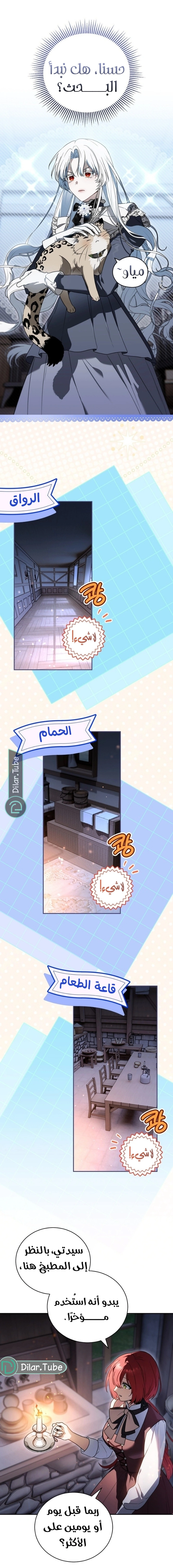 صفحة 17
