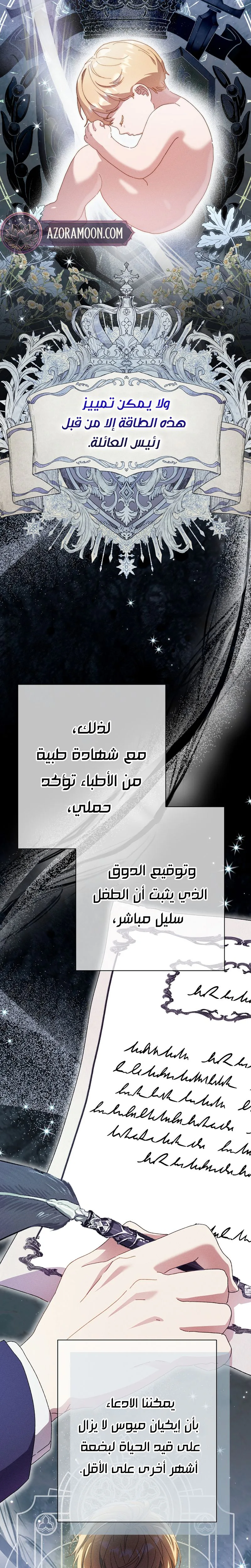 صفحة 13
