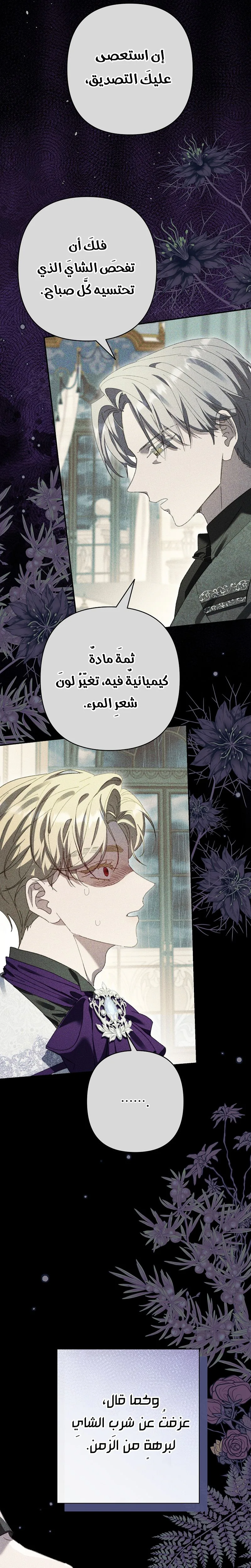 صفحة 13