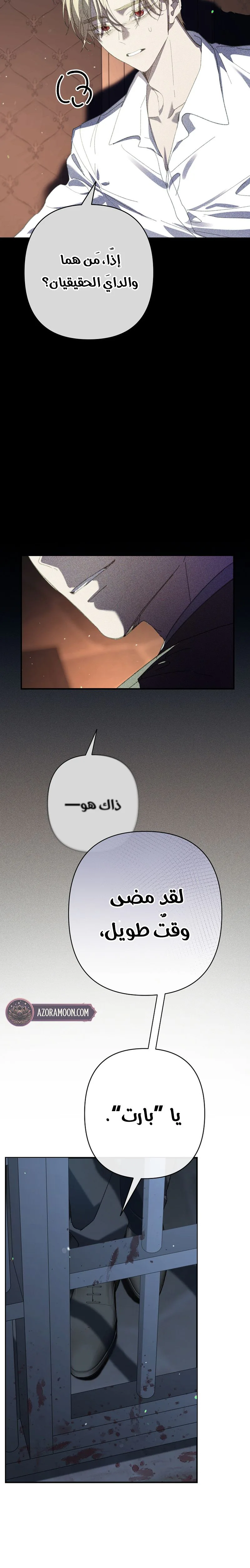 صفحة 17