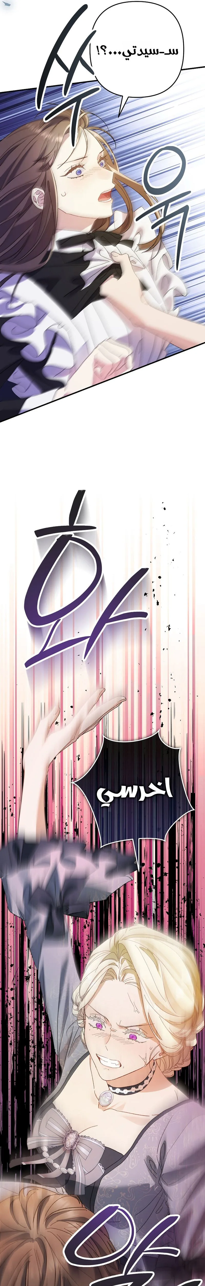 صفحة 17