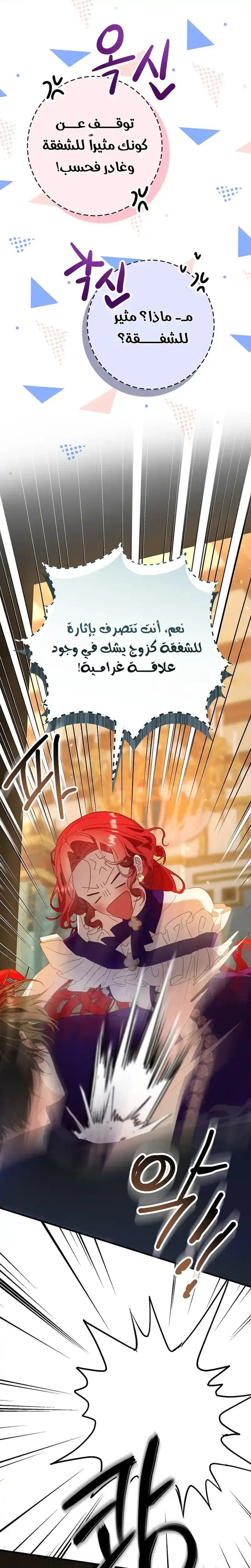 صفحة 17