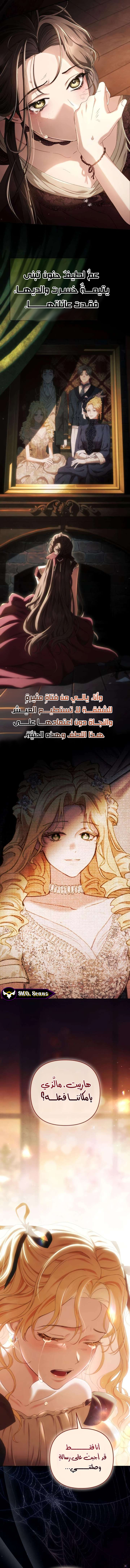 صفحة 11