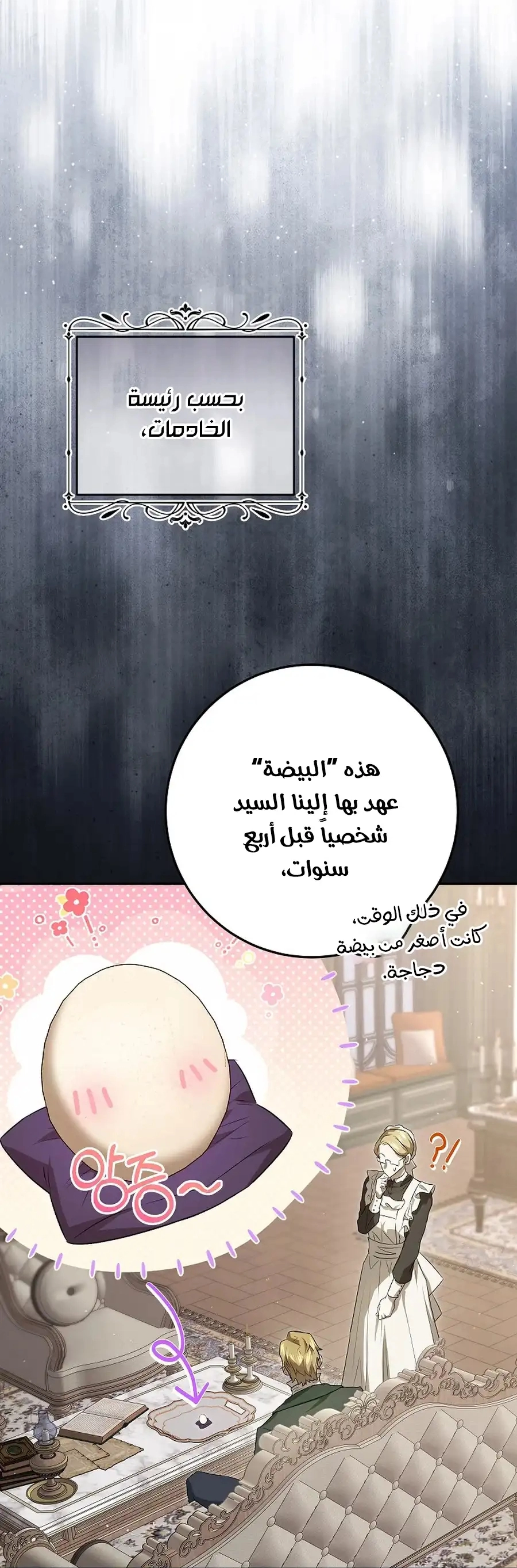 صفحة 24