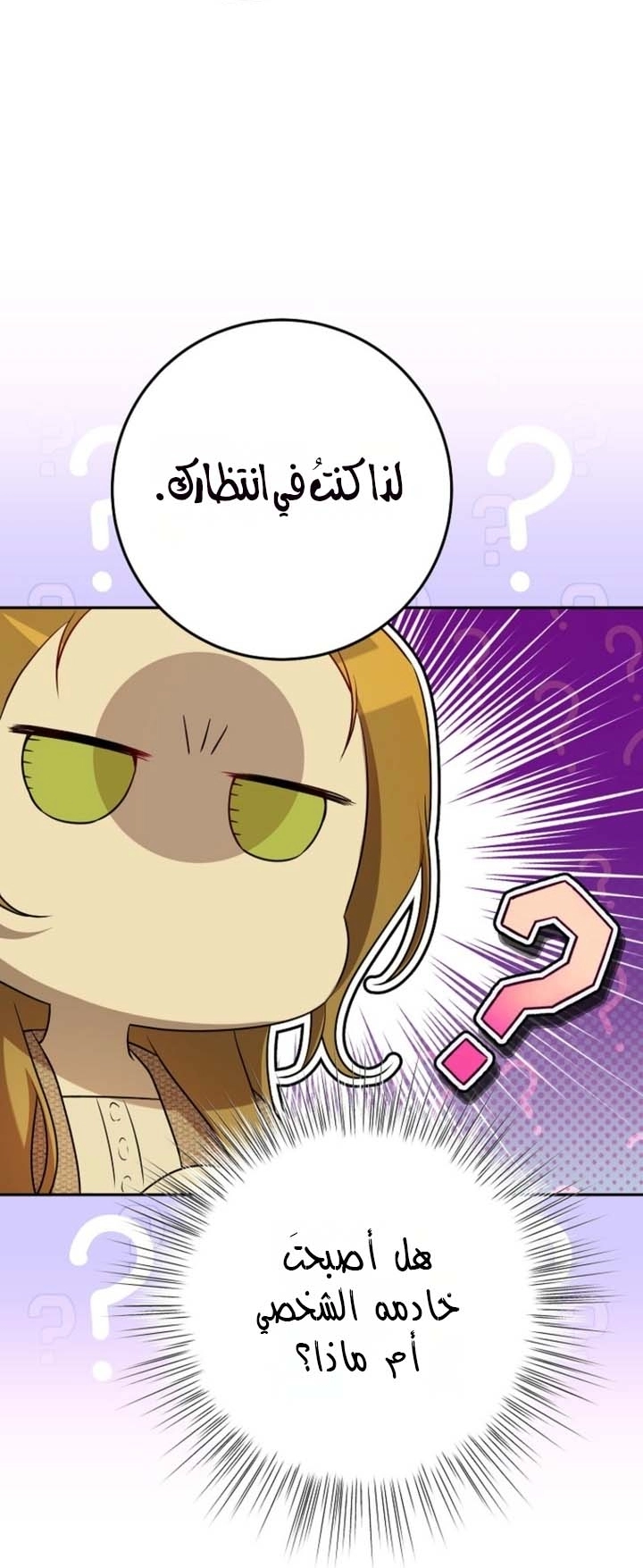 صفحة 33