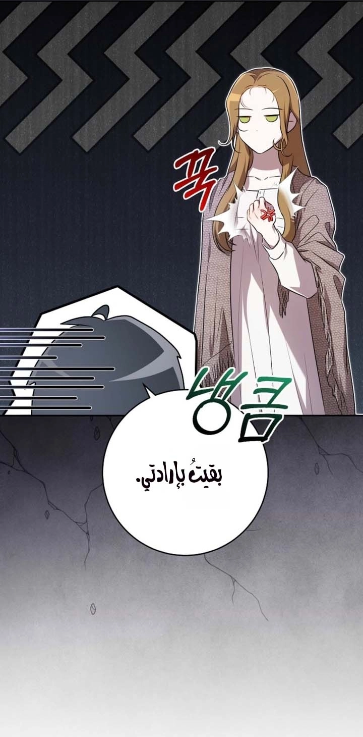 صفحة 39