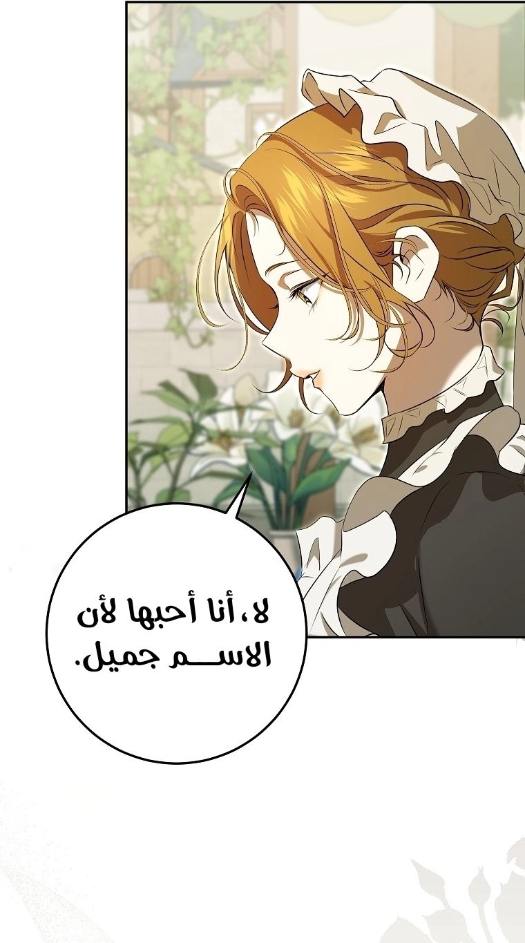 صفحة 13