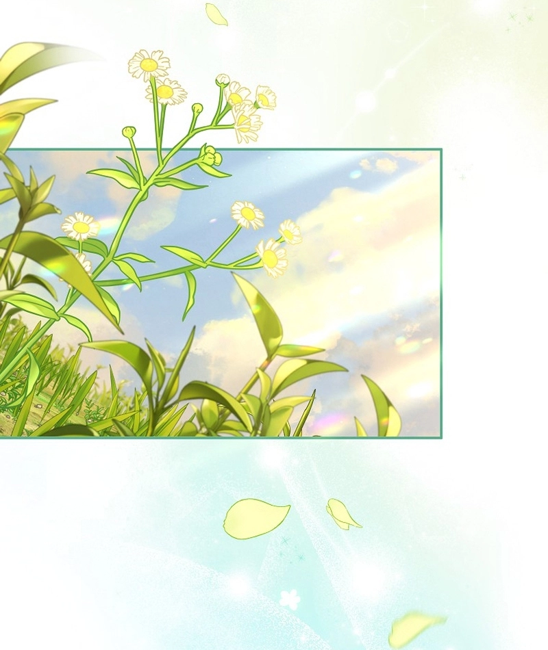 صفحة 45