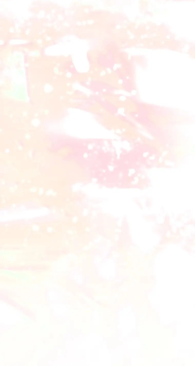 صفحة 24