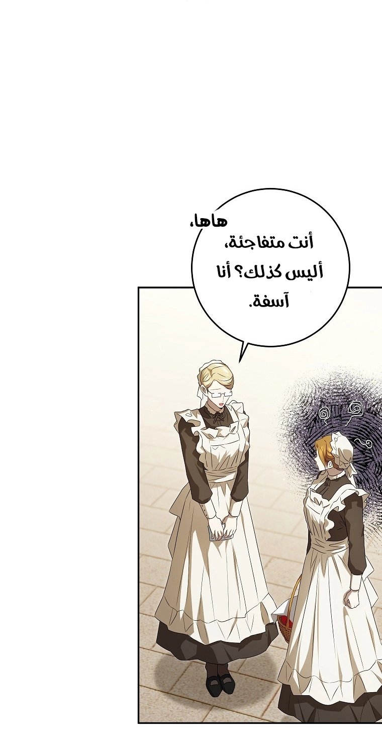صفحة 46