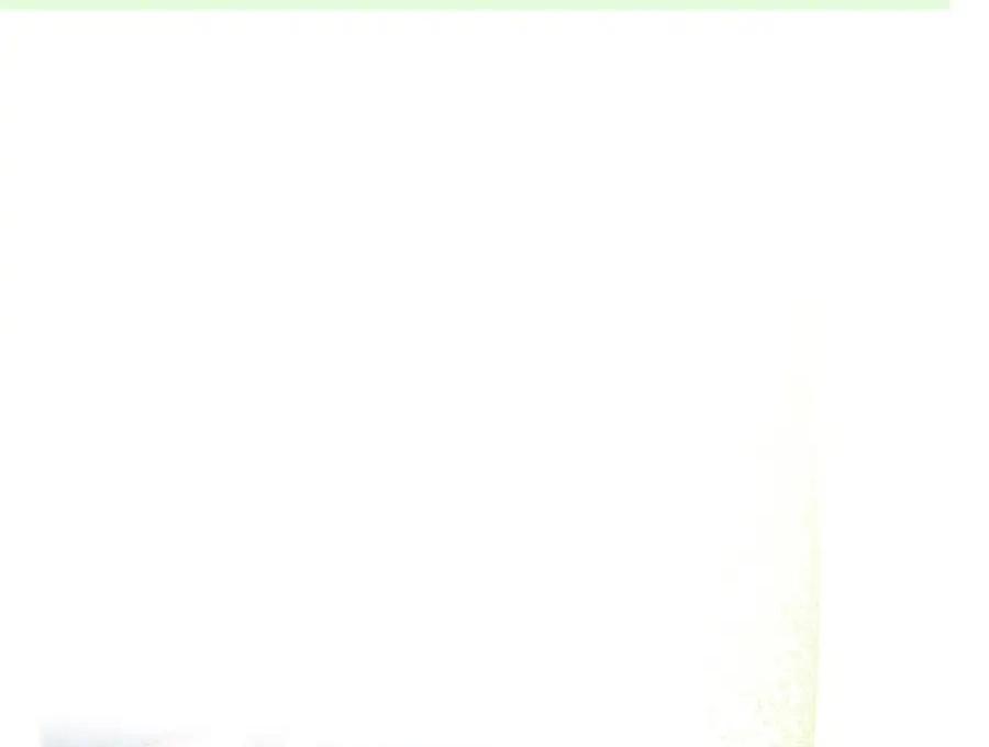 صفحة 31