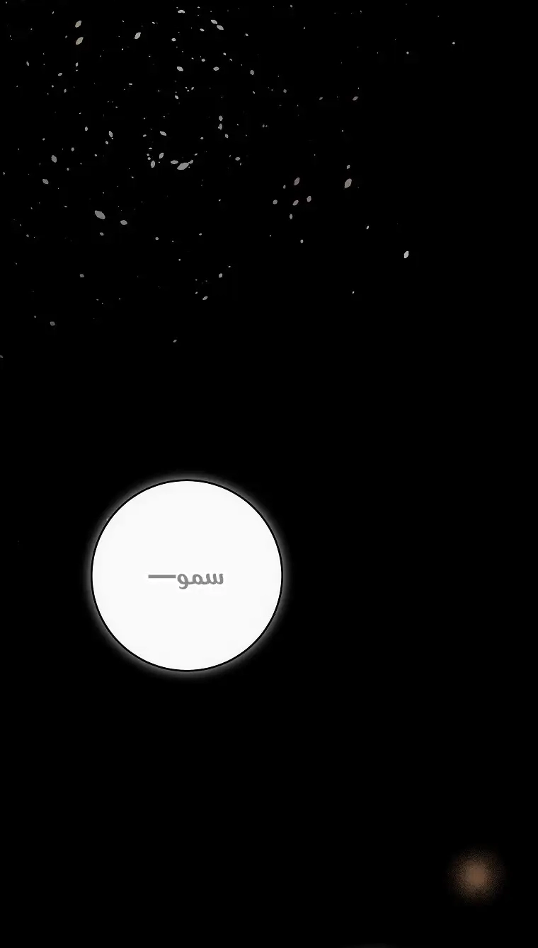 صفحة 19