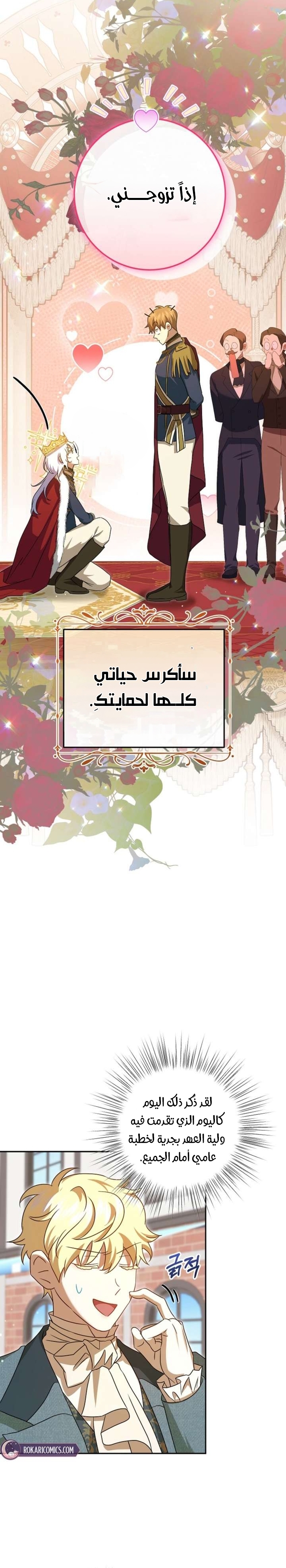 صفحة 17
