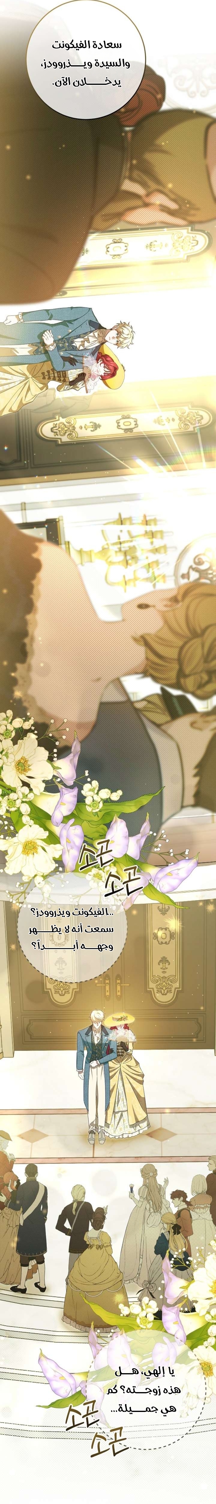 صفحة 26