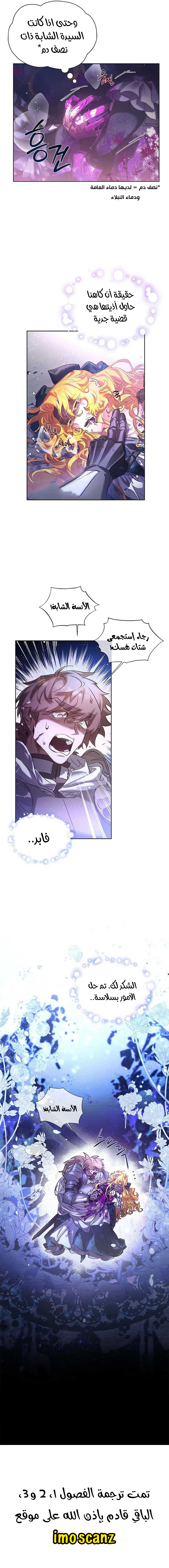 صفحة 13