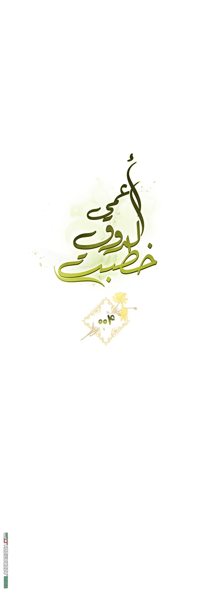 صفحة 13