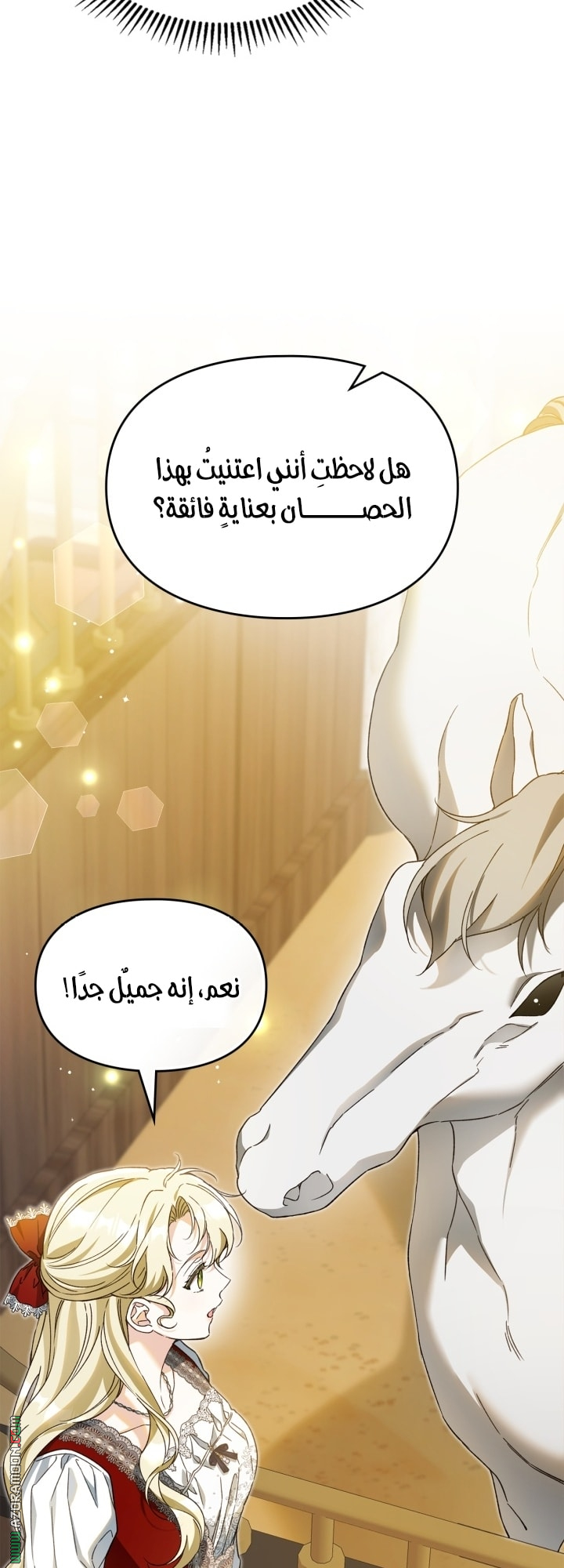 صفحة 8