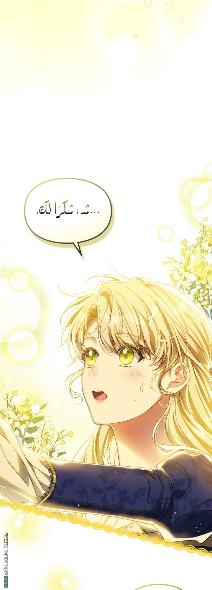 صفحة 27