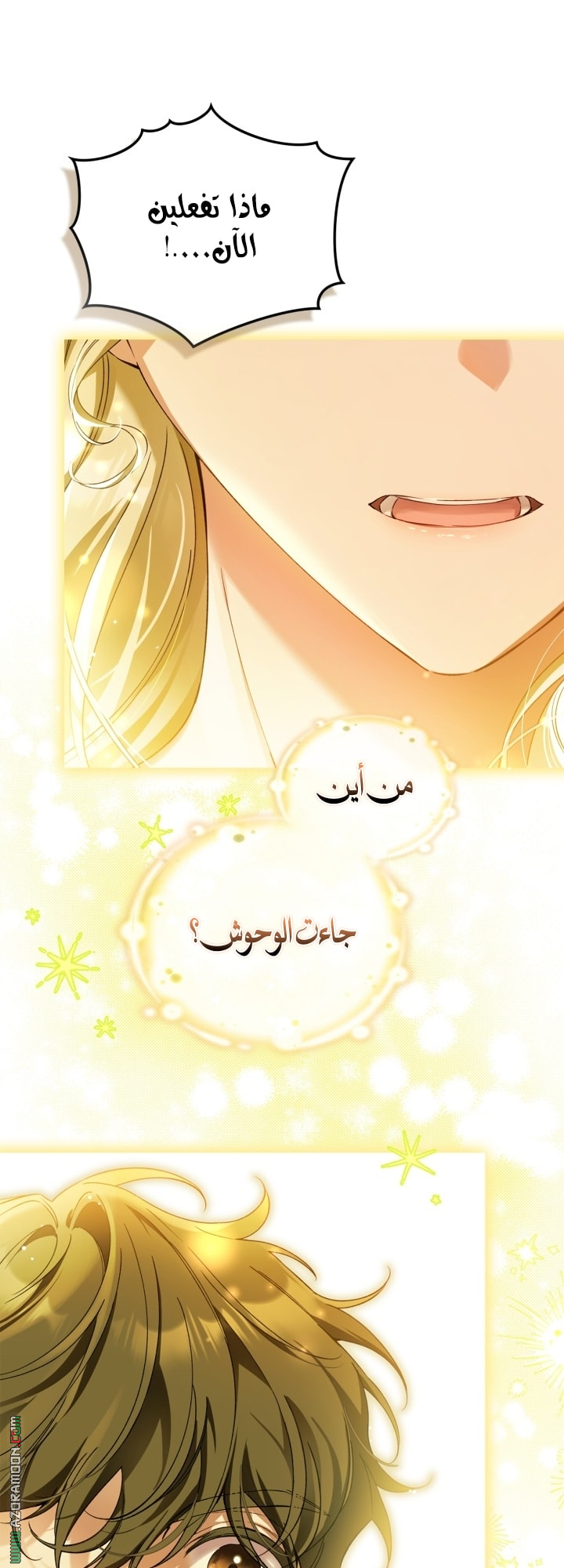 صفحة 29