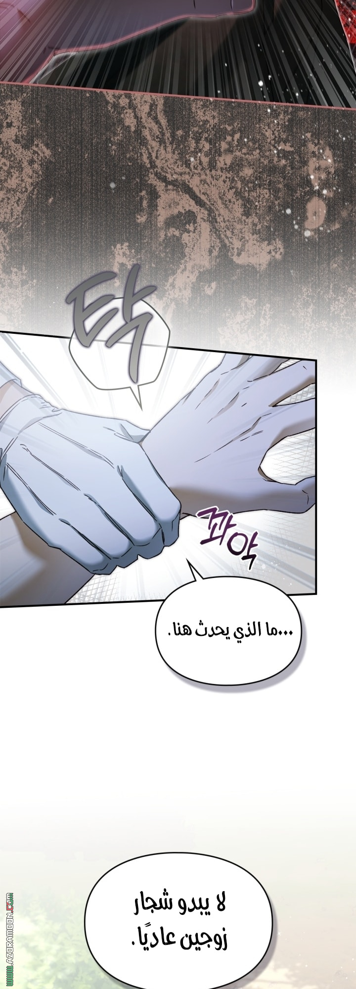 صفحة 52
