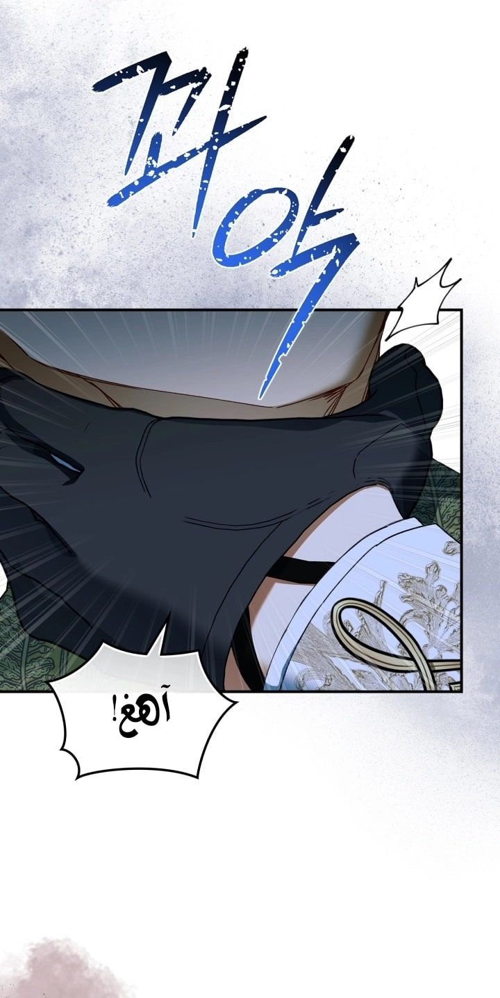 صفحة 27