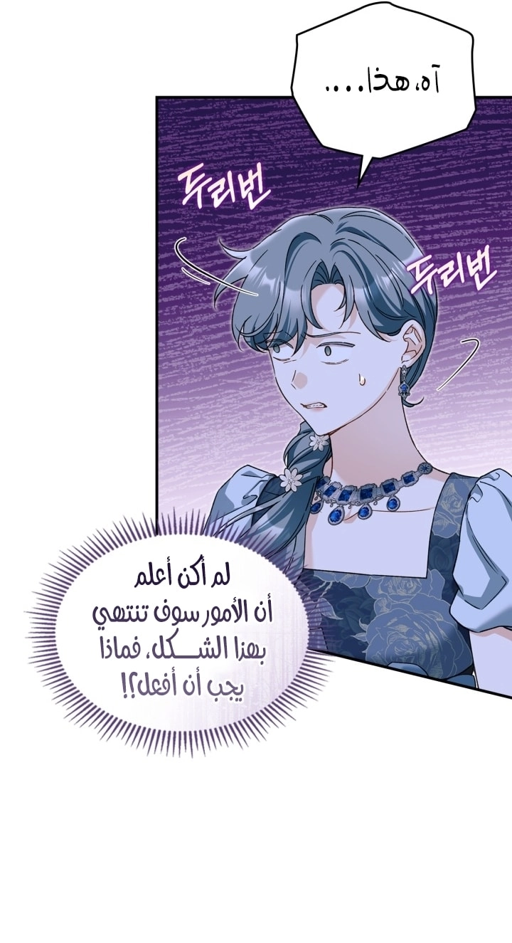 صفحة 41