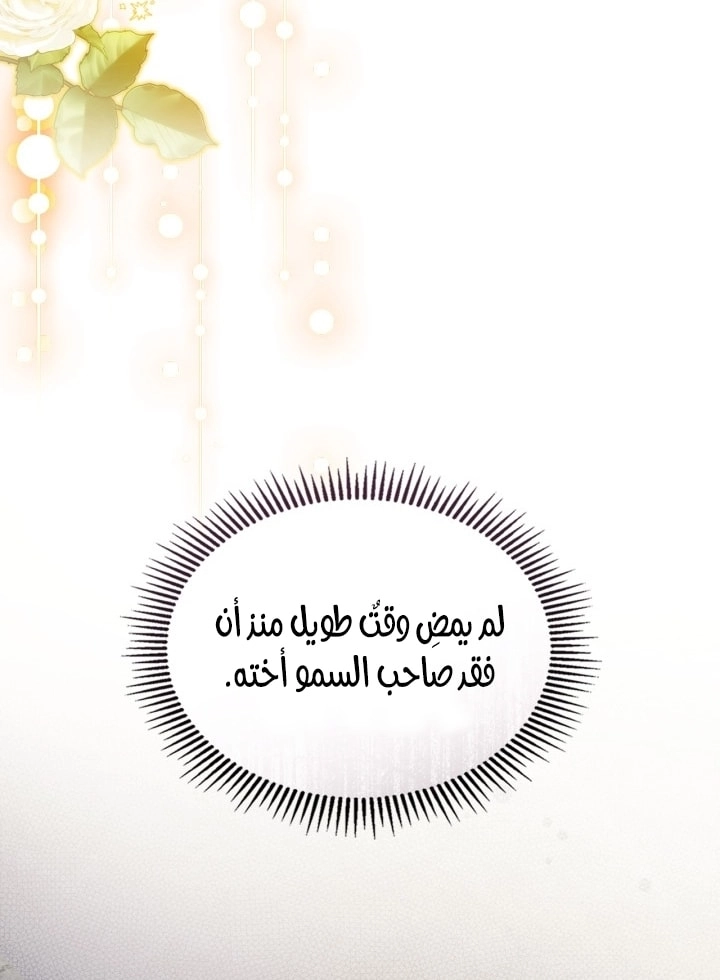 صفحة 42