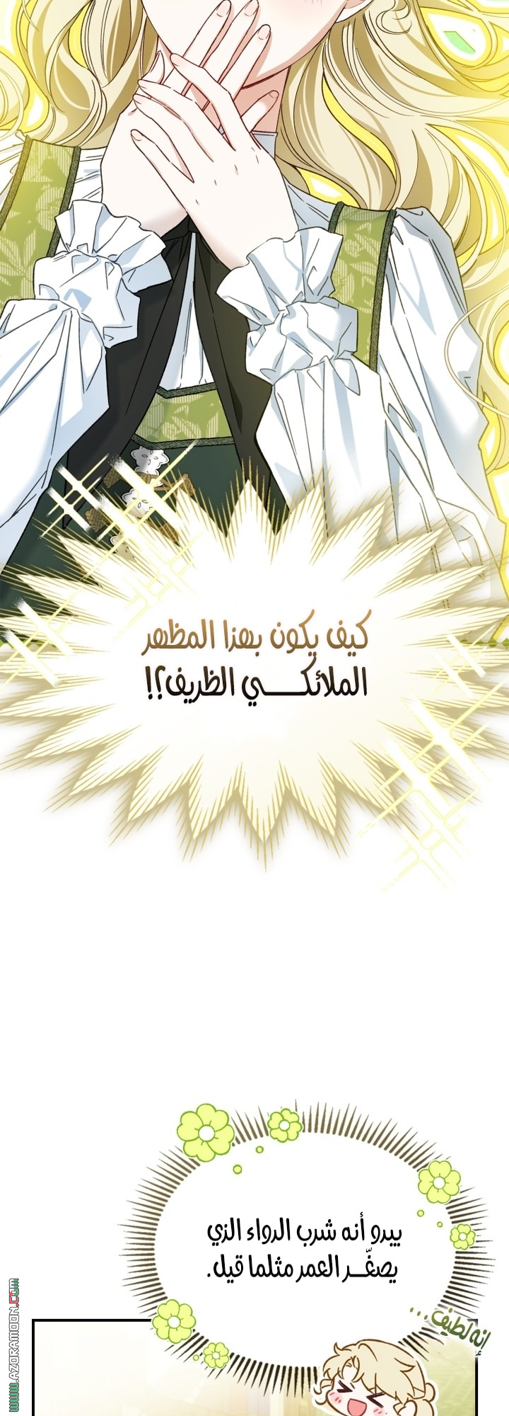 صفحة 17