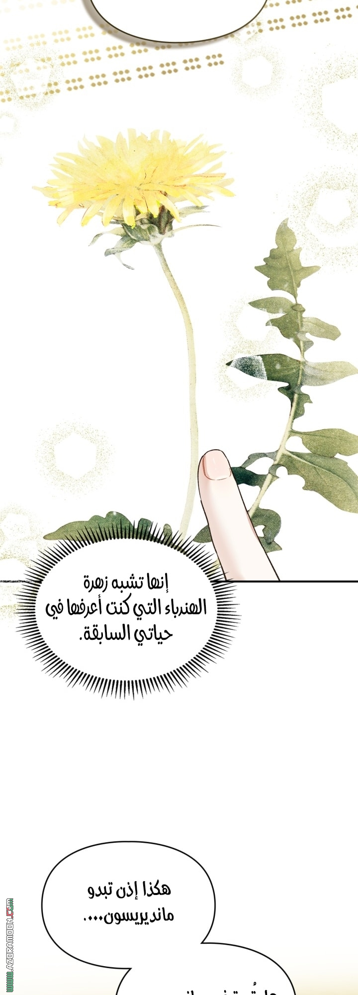 صفحة 33