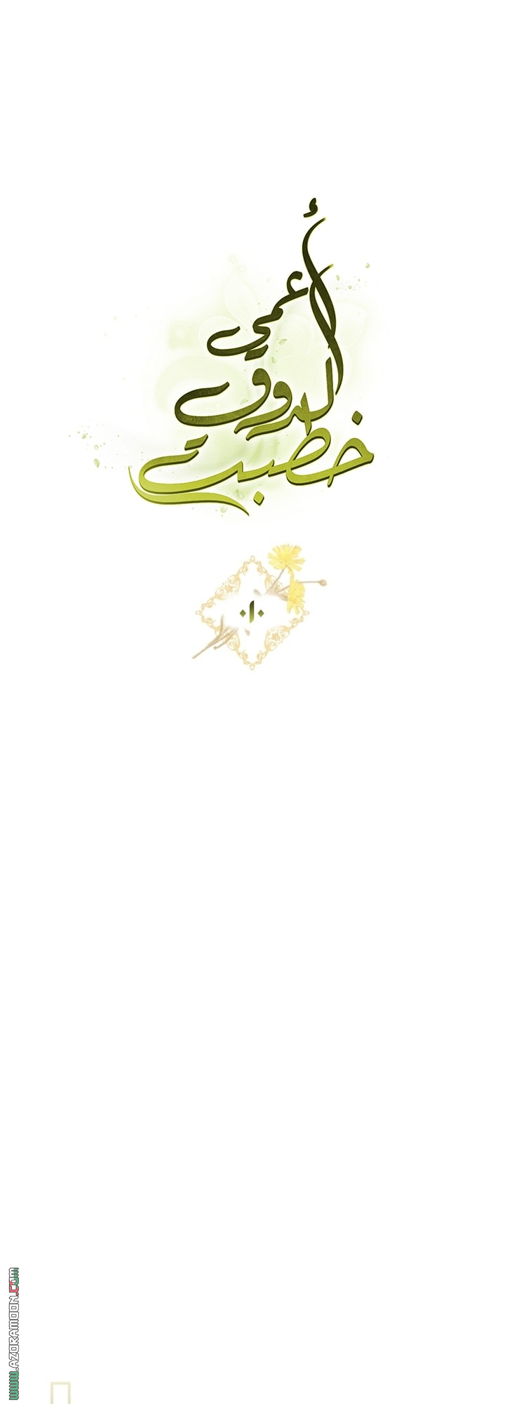صفحة 40