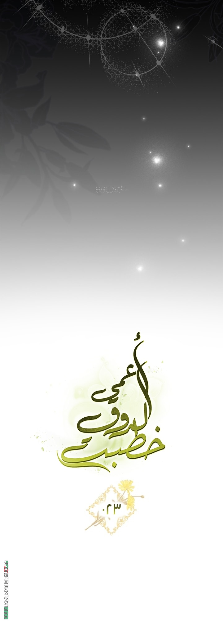 صفحة 17