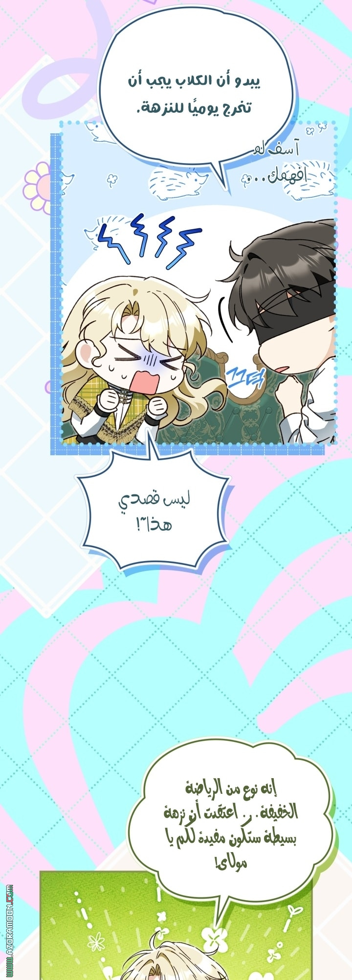 صفحة 17