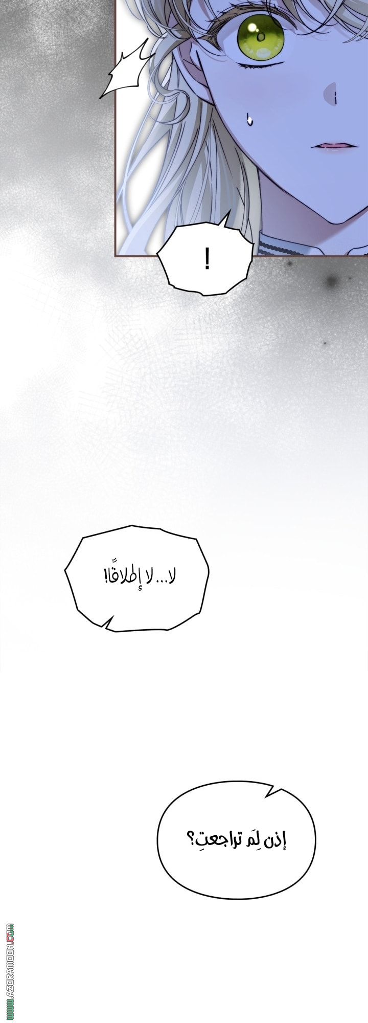 صفحة 42
