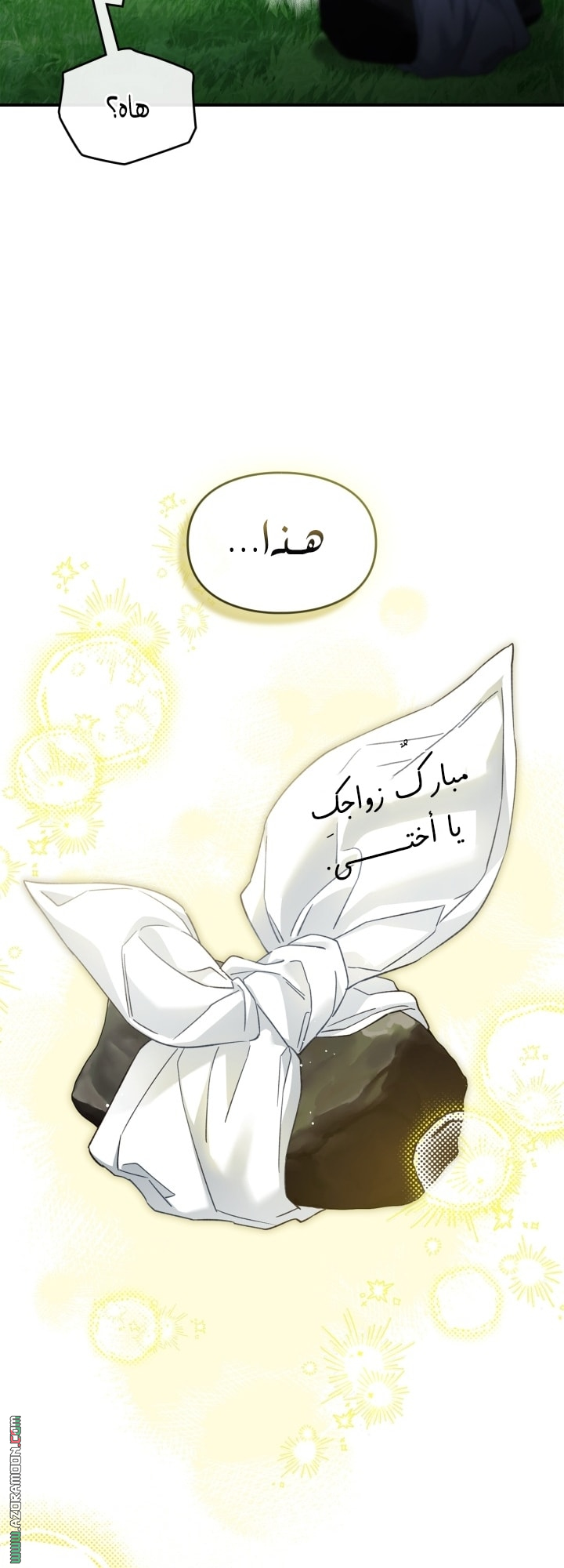 صفحة 29