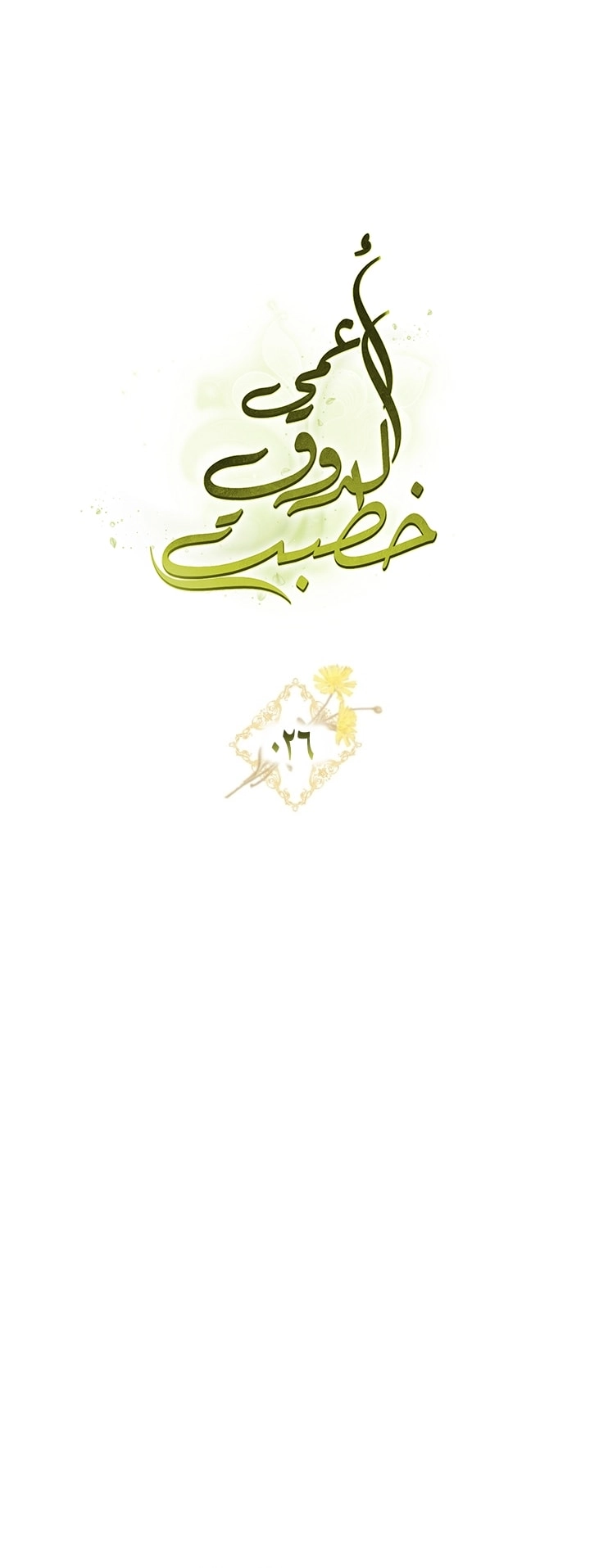 صفحة 24