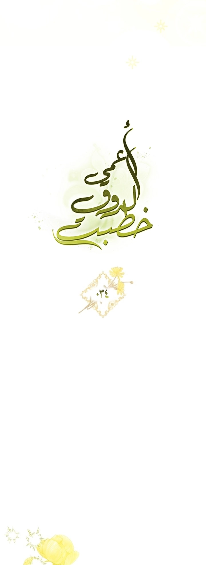 صفحة 20