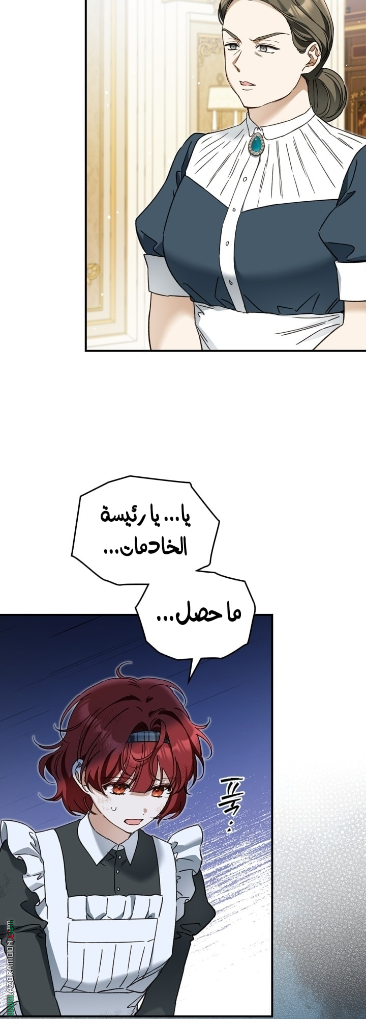 صفحة 27