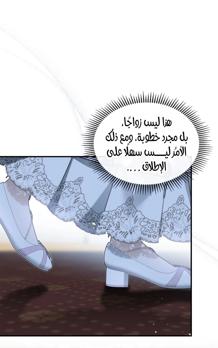 صفحة 41