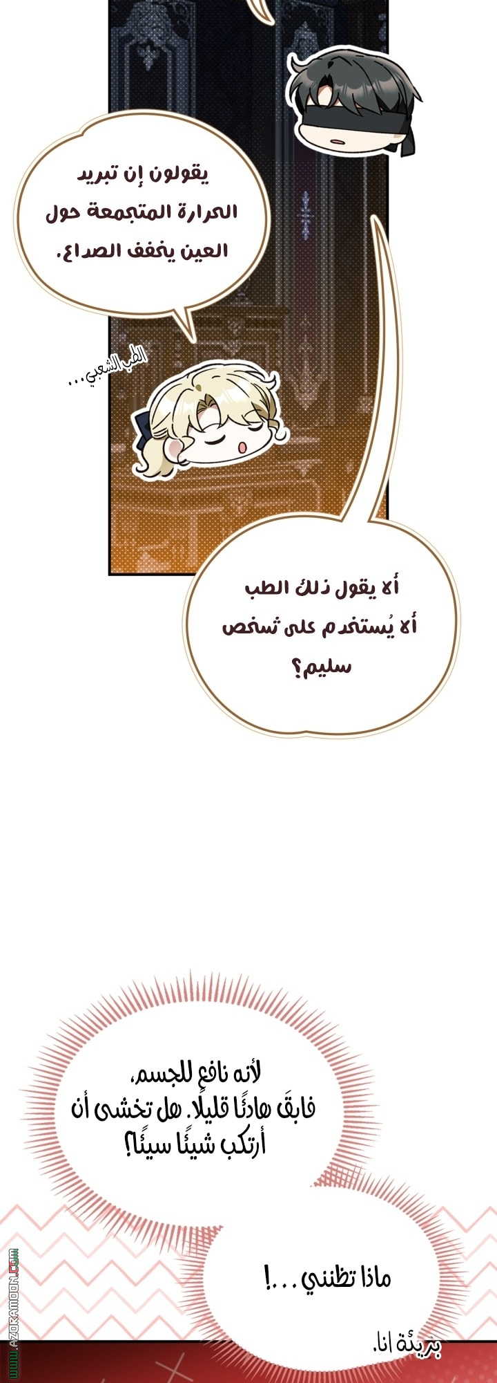 صفحة 13
