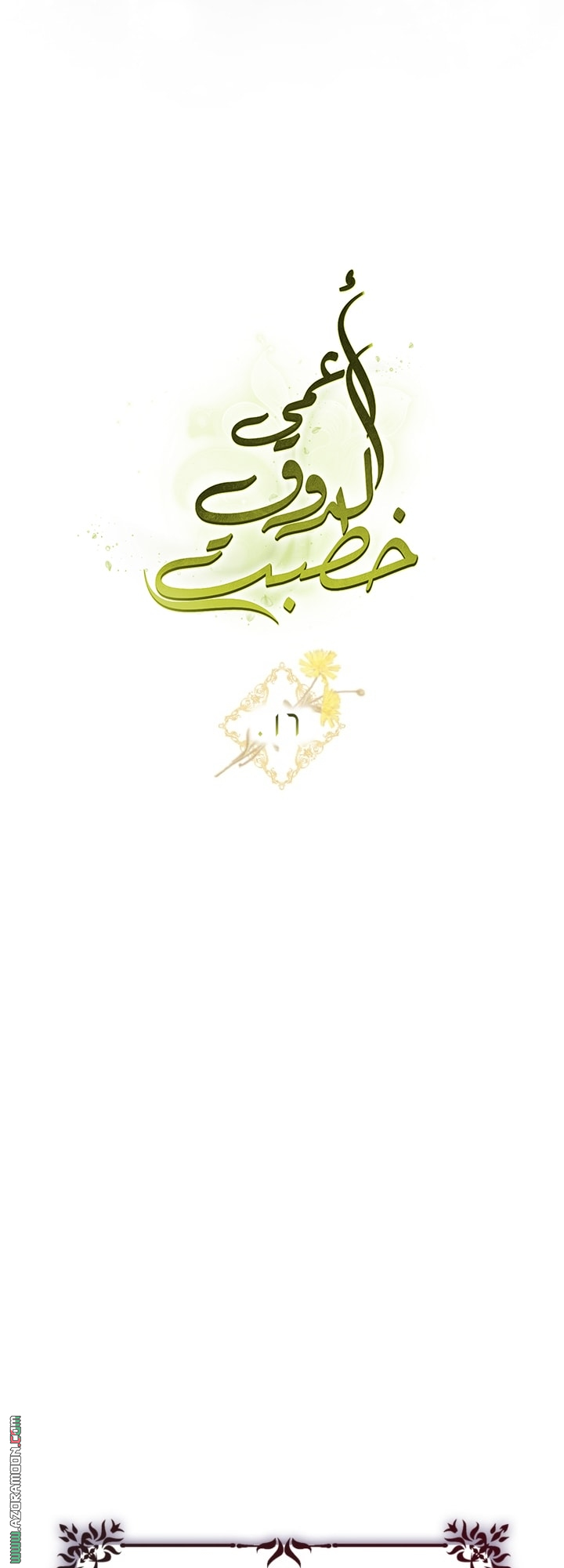صفحة 29