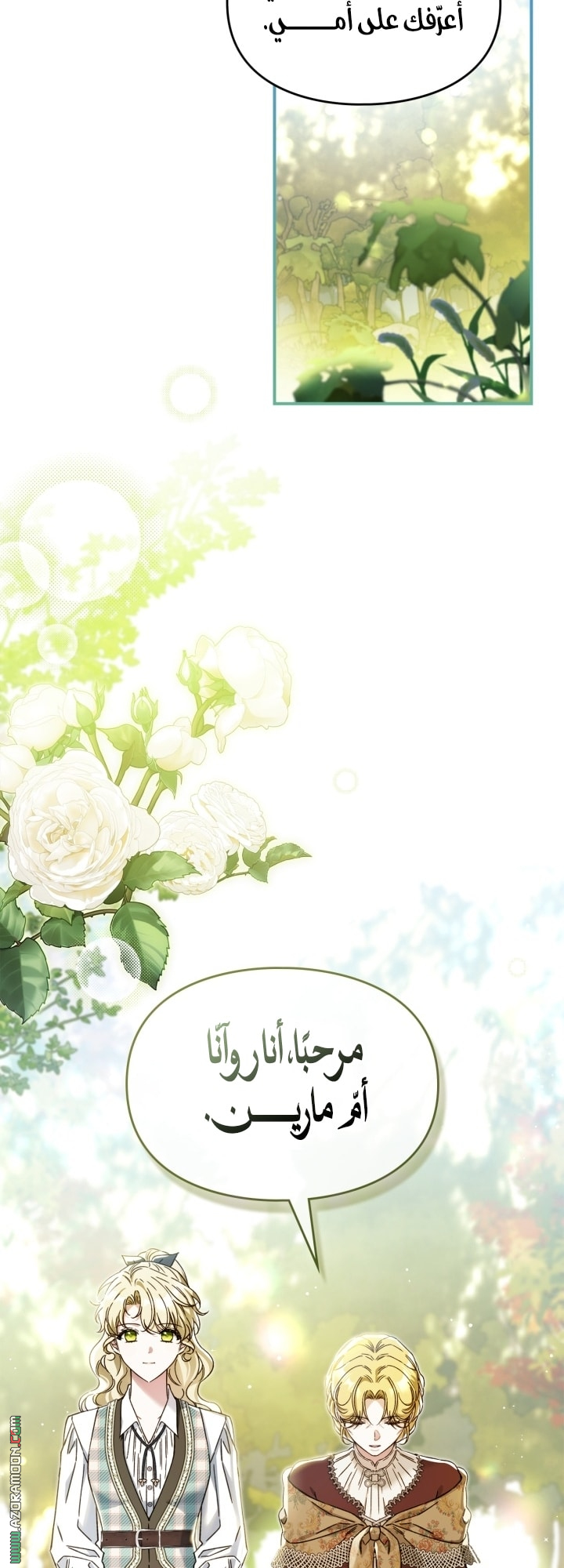 صفحة 17